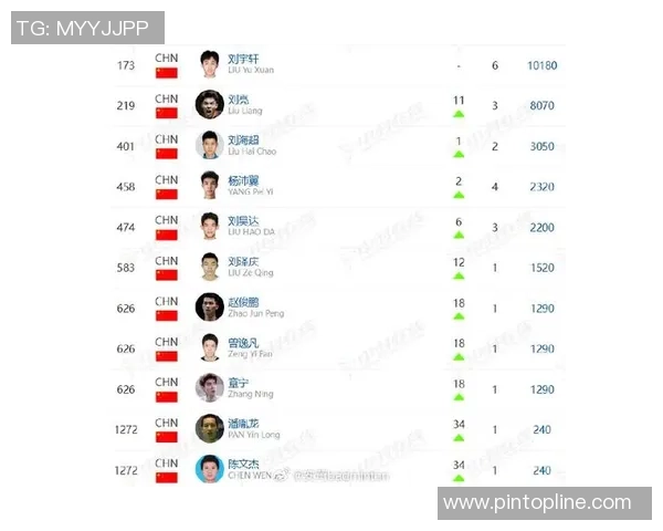 深圳羽毛球队实力强劲荣登全国羽毛球实力排行榜第三名