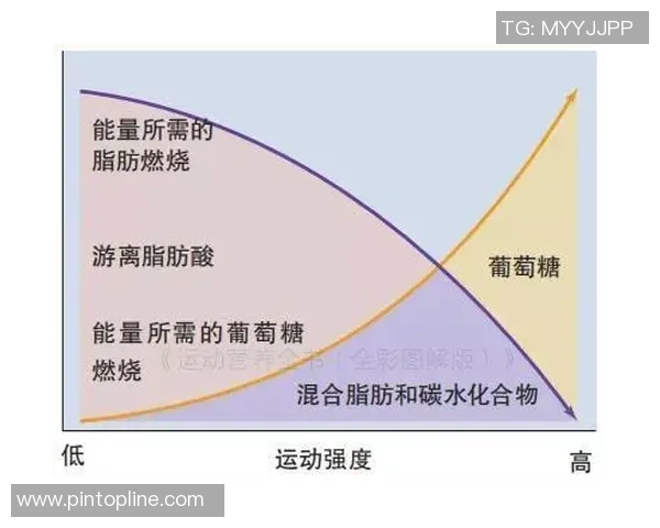 科学足球耐力训练全攻略提升运动表现的有效方法与技巧
