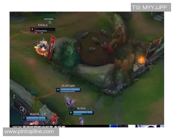 英雄联盟盛宴：深入解析BLG战队的持久战斗力与团队合作精神