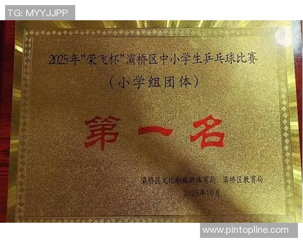 西安乒乓球队荣登全国团队协作排行榜第五名的辉煌成就